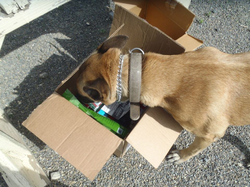 Citta in care package box
